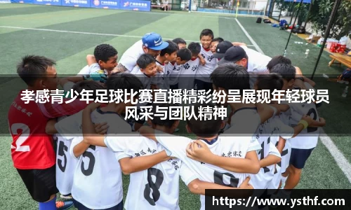 孝感青少年足球比赛直播精彩纷呈展现年轻球员风采与团队精神